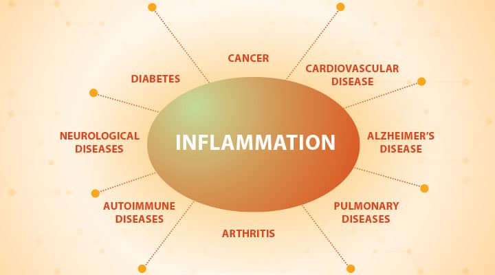 Gamma Linolenic Acid (GLA): Benefits for Weight Loss