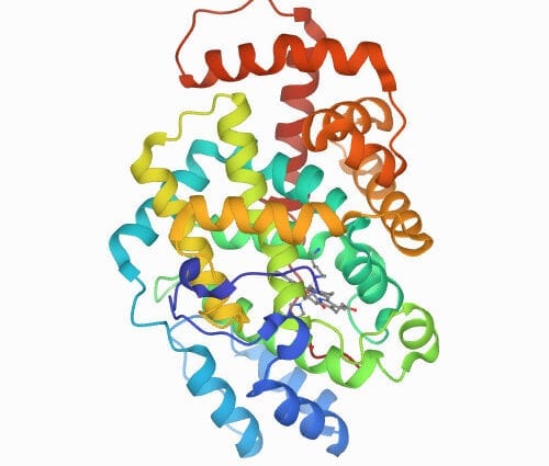 GDP Melange amletny 1zheltok, 5 proteins.