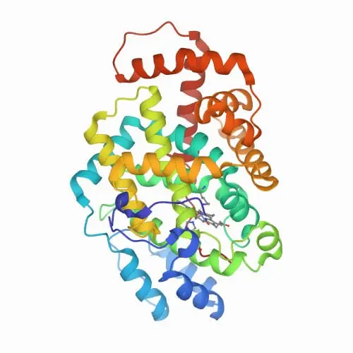 GDP Melange amletny 1zheltok, 5 proteins.