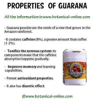 Guarana and its miraculous properties.