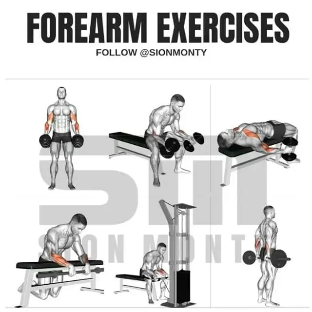 How to build forearms: 4 workout programs