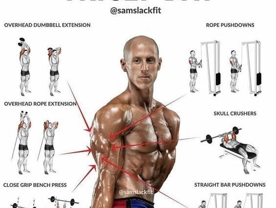 Triceps хэрхэн бүтээх вэ: 6 дасгалын хөтөлбөр