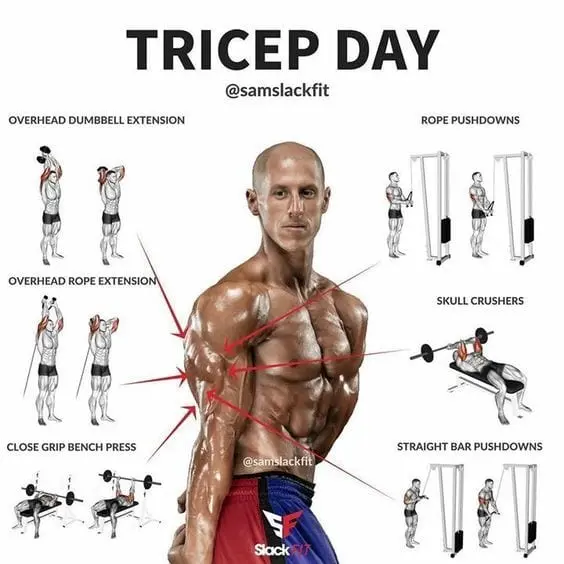 How to build triceps: 6 workout programs