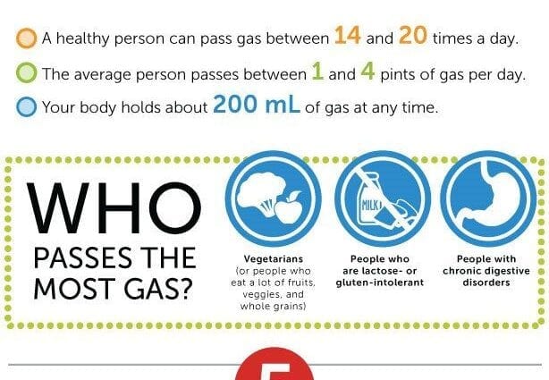 Како да се справите со зголемено формирање гас