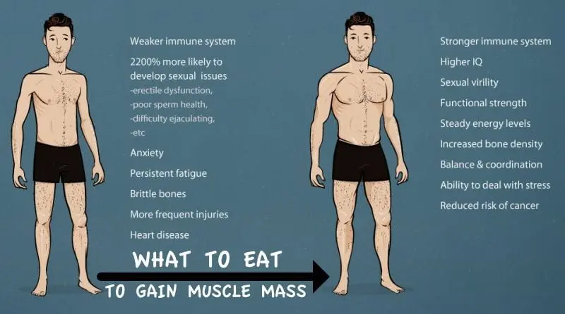 How to gain muscle mass.