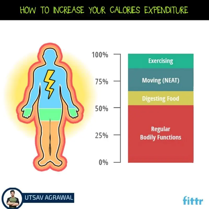 How to increase your calorie expenditure?