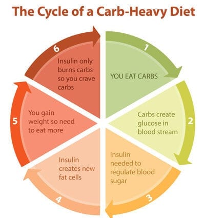 How to lose weight properly