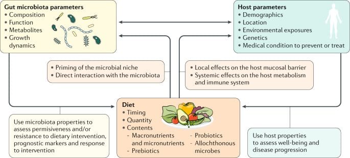 如何在飲食中使腸道菌群正常化