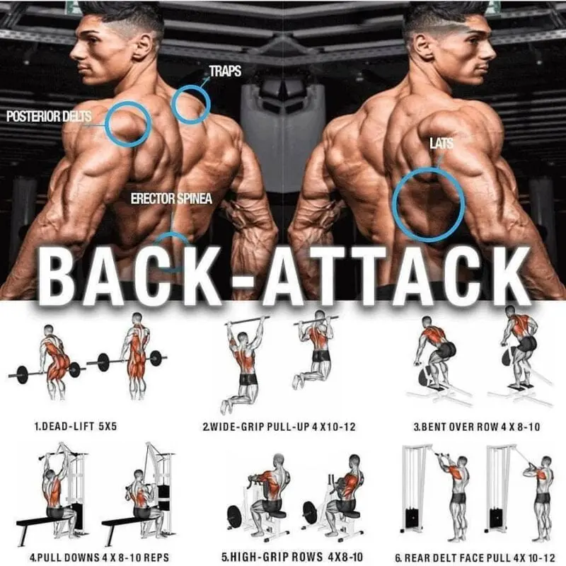 How to pump up your back: 5 workout programs