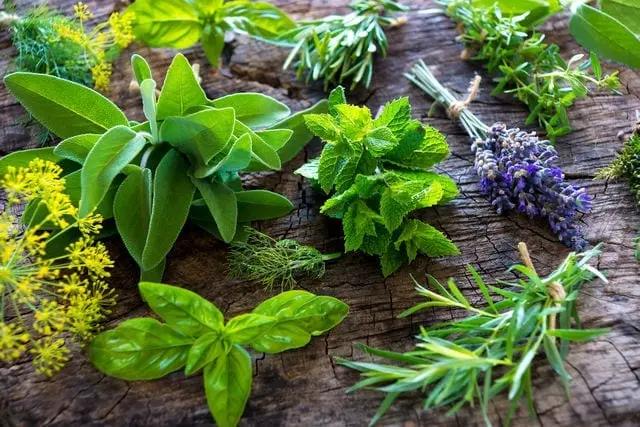 Storeroom of health and beauty: drying summer blanks