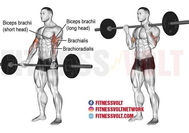 Maximum Reps: Dumbbell and Barbell Workout