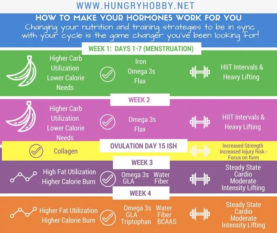 Menstrual cycle and nutrition