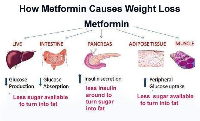 Metformin for weight loss