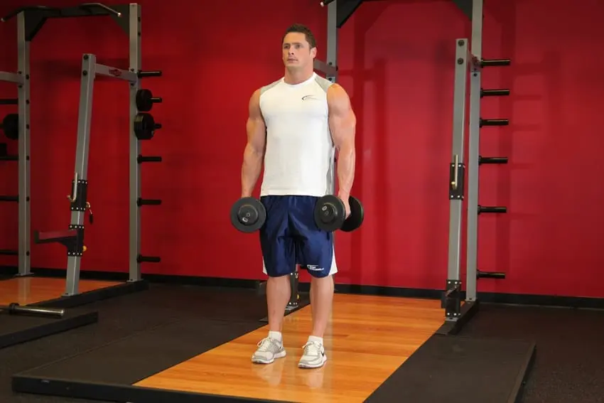 Only dumbbells! Split workout for home or gym