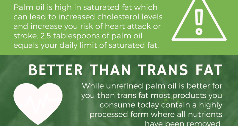 Palm oil: is it bad for your health?