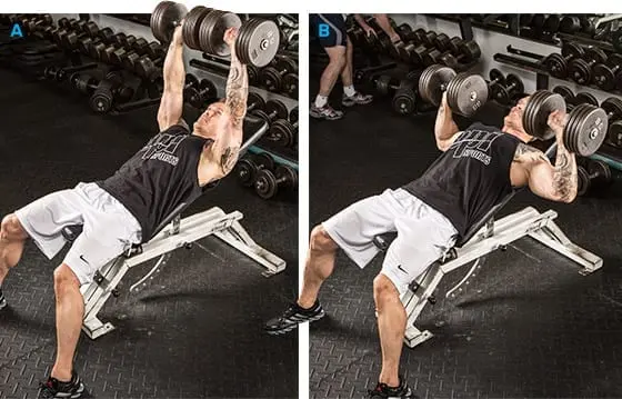 Pectoral muscle training program