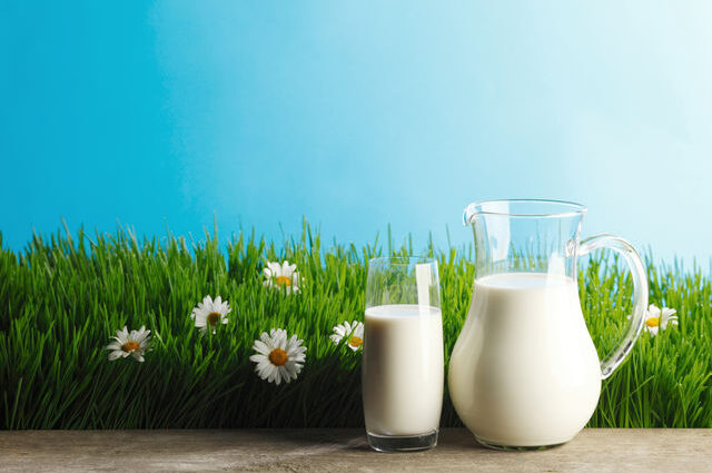 We eat with benefits: dairy products in our diet