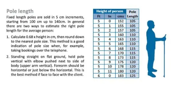 Poles for Nordic walking: how to choose and what are