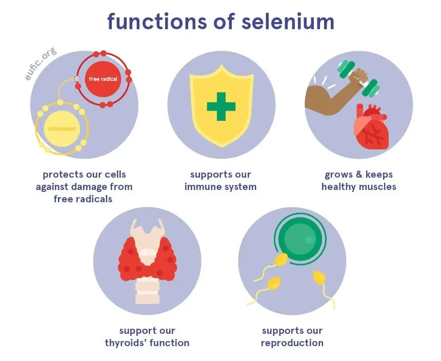 Selenium is a mineral that protects against free radicals.