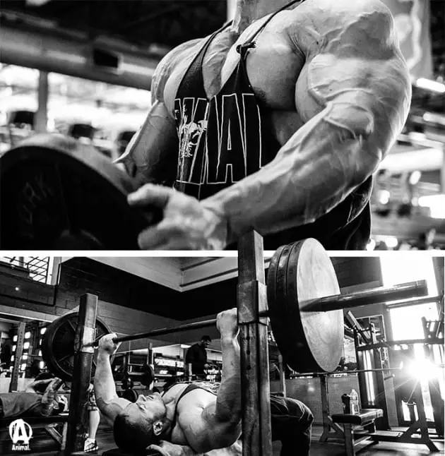 Split by the pros worth trying!