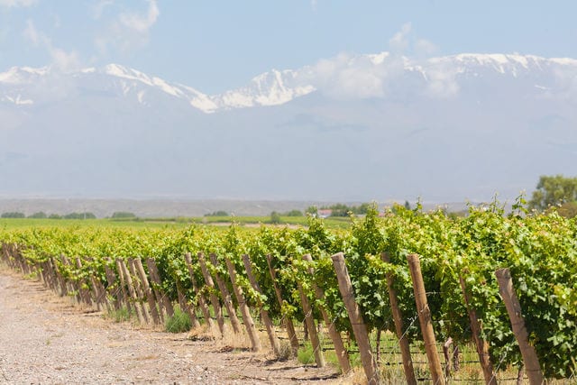 Страсть в бокале: страна вин — Аргентина