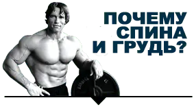 Superset Man: Chest and Back Program from Arnold Schwarzenegger