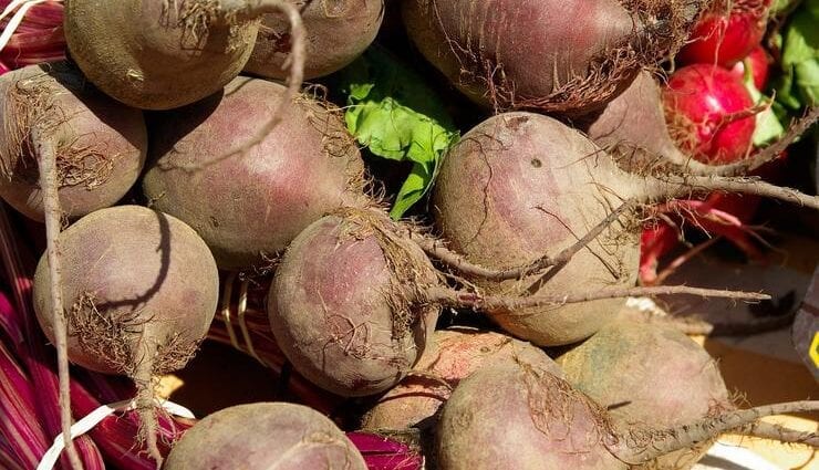 Beetroot: benefits and harms