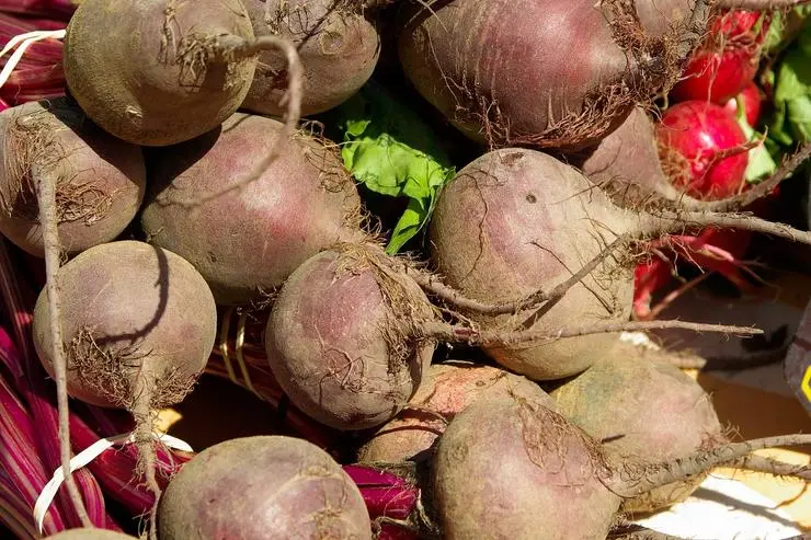 Beetroot: benefits and harms