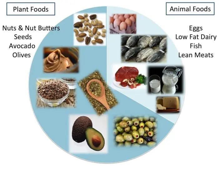 Trans fats and carcinogens in the diet &#8211; what is their danger