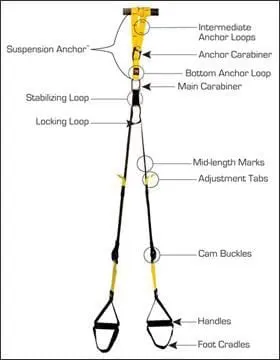 TRX Loop Workouts