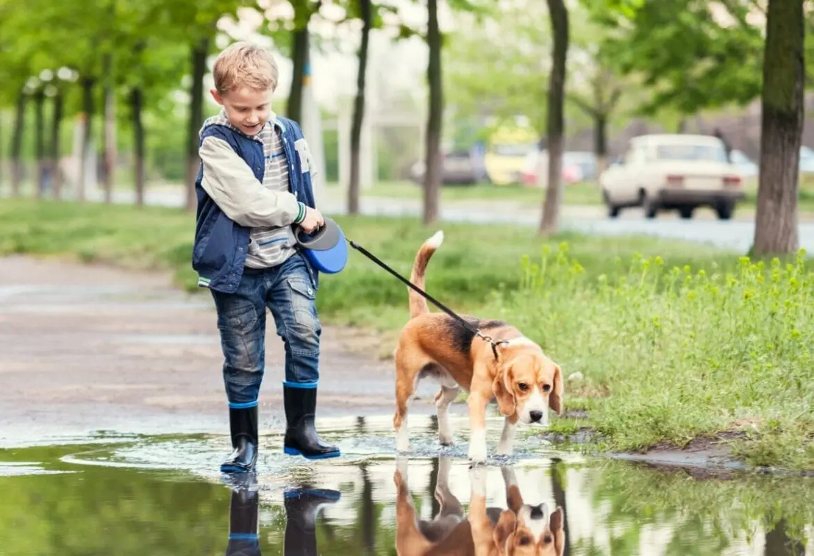 Walking the dog