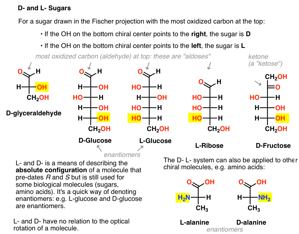 qu-significan-las-letras-l-y-d-delante-de-los-nombres-de-los