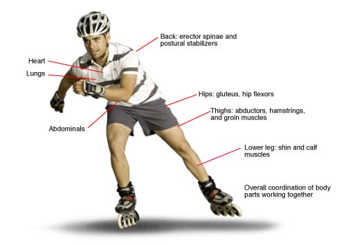 אילו קבוצות שרירים מפותחות בעת החלקה על גלגלים וכיצד להחליק כמו שצריך?
