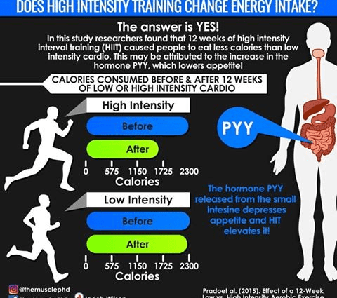 Mana yang lebih baik: latihan kardio intensitas tinggi atau intensitas rendah