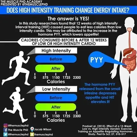 Which is better: high-intensity or low-intensity cardio