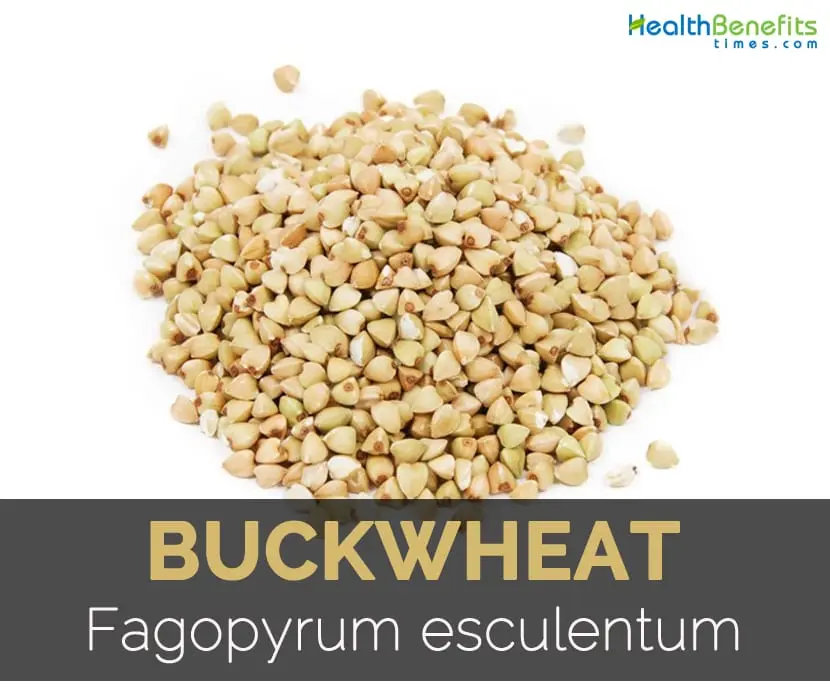 10 interesting facts about buckwheat