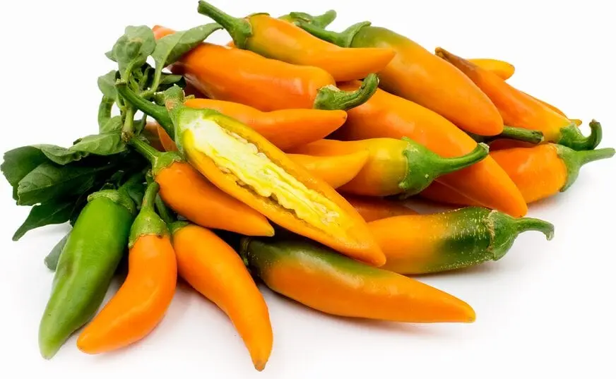 10 interesting facts about Bulgarian pepper