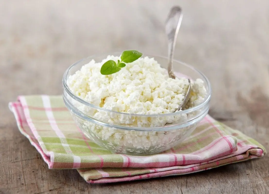 10 interesting facts about cottage cheese