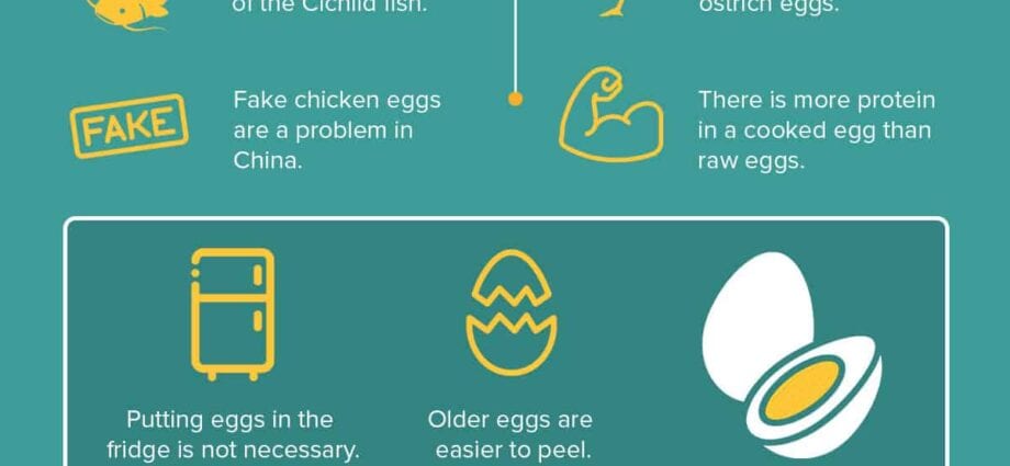 10 ενδιαφέροντα γεγονότα για τα αυγά