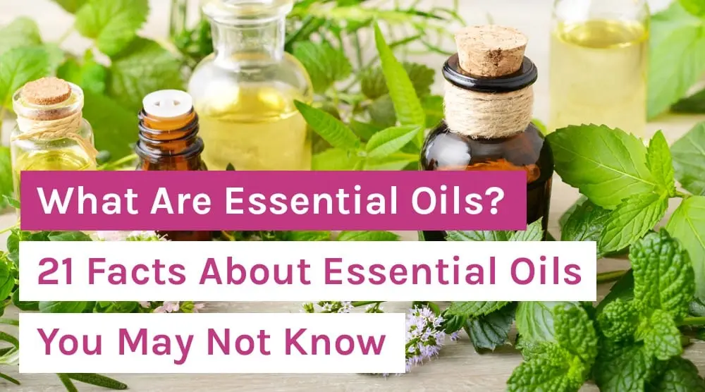 12 interesting facts about natural oils