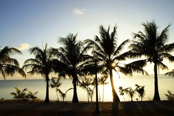 The Taste of the Mariana Islands Festival is a holiday on a journey