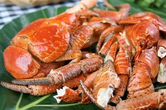 The Taste of the Mariana Islands Festival is a holiday on a journey