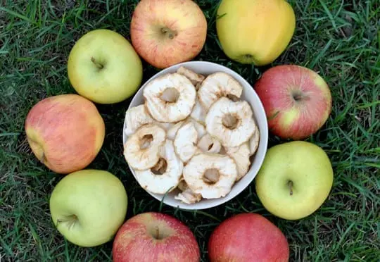 George Primakov and his apple orchards