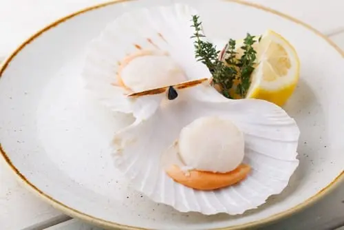 Cooking with sophistication: dishes with scallop for every day