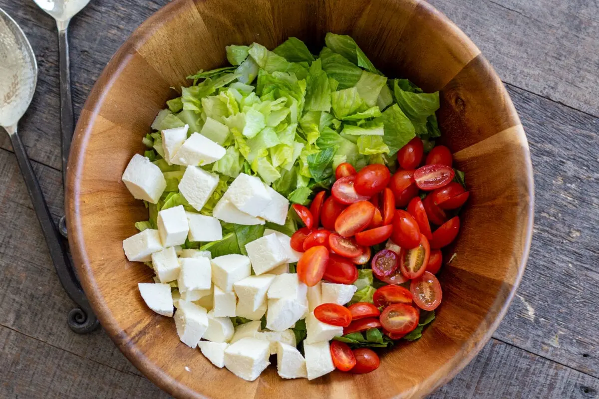 Green salad with cheese and tomatoes