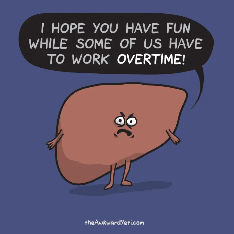 How to help the liver survive the New Year holidays