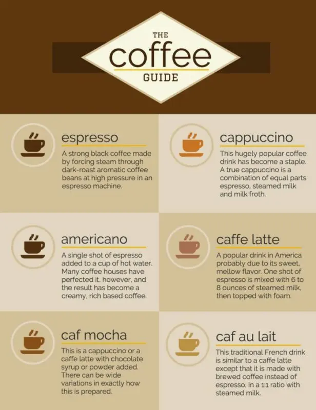 Infographic: coffee guide