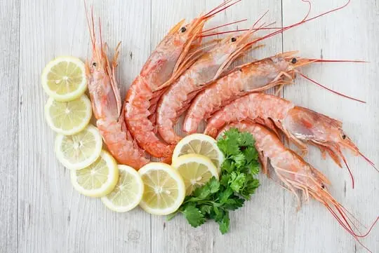 The most delicious seafood for the family menu