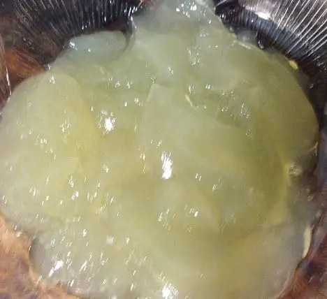 Turkey jelly on chicken broth