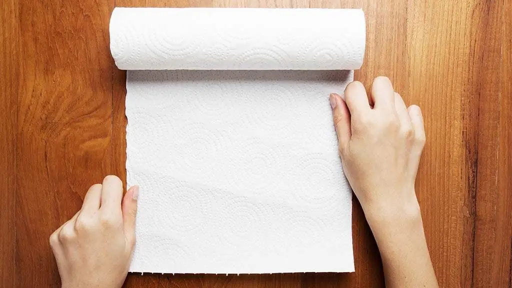 A piggy bank of useful tips: how to choose the right paper towels